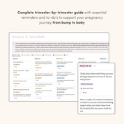 Little One Hub | The Ultimate Pregnancy & Postpartum Planner